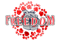 Freedom Cyber Logo 